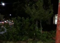 Voladura de techos, caída de árboles y postes de electricidad en Santa Rosa del Conlara
