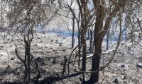 El fuego arrasó más de 9000 hectáreas en el Valle de Traslasierra
