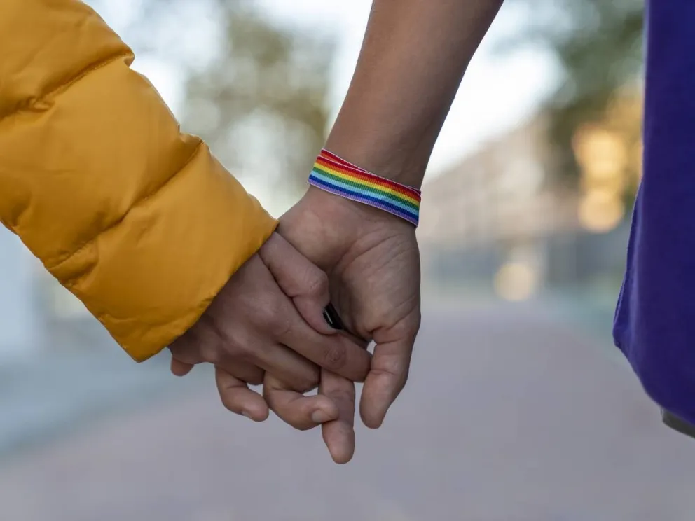 Brindan la charla “Mujeres y LGBTI+ con discapacidad"