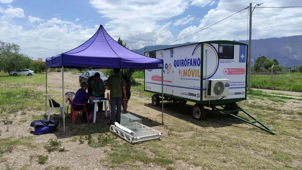 Villa de Merlo: Se castraron más de 2300 mascotas durante 2022 