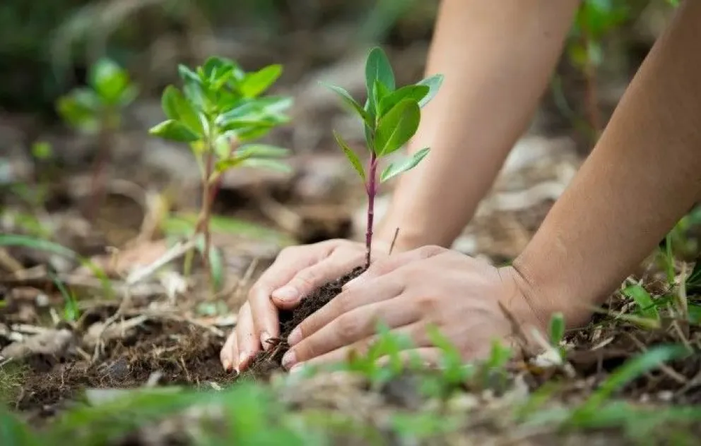 Entregarán aportes no reembolsables de hasta 1 millón de pesos para emprendedores ambientales