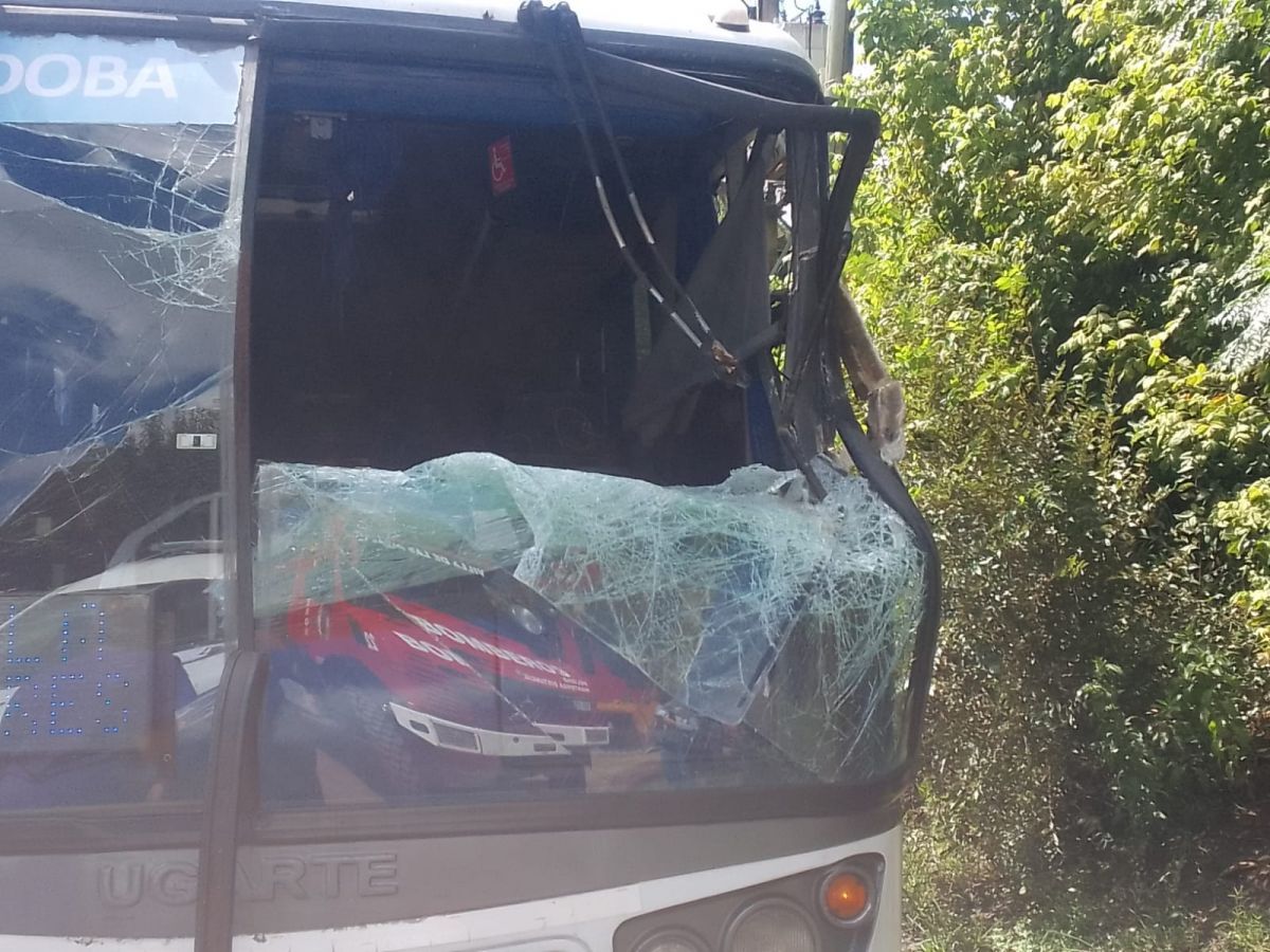 Un árbol cayó sobre un colectivo y un utilitario
