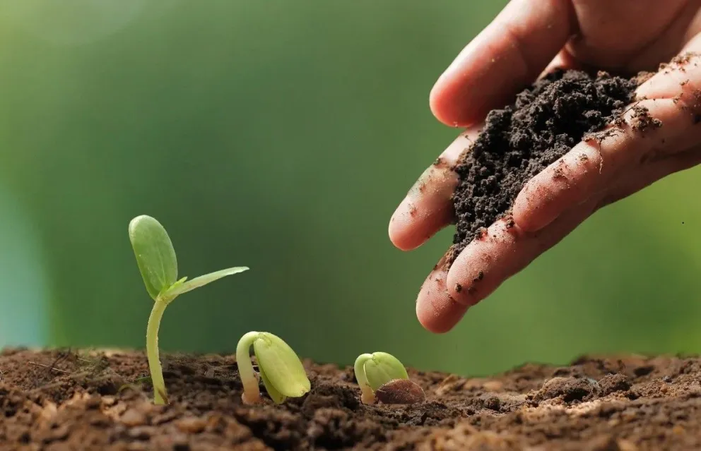 Empiezan las clases de la Escuela Municipal de Agroecología