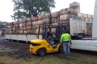 Otro camión con 16 toneladas de cartón salió del Centro Municipal de Reciclado