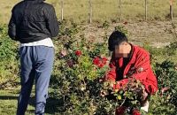 Robaban flores en Villa de Las Rosas, un taxista los escrachó y el pueblo se indignó